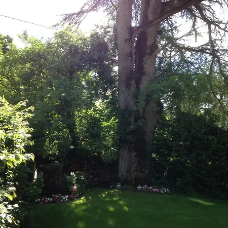 La Colbert *