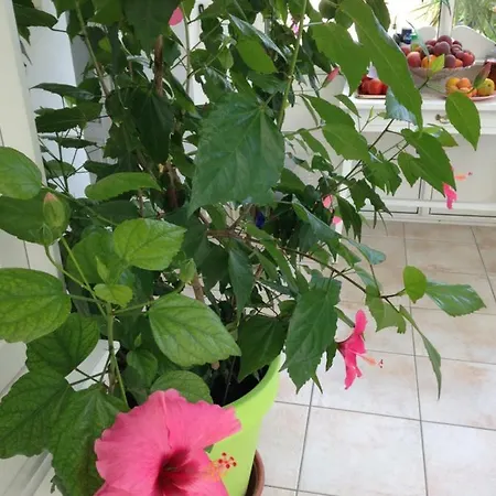 La Colbert Gasthof 3*