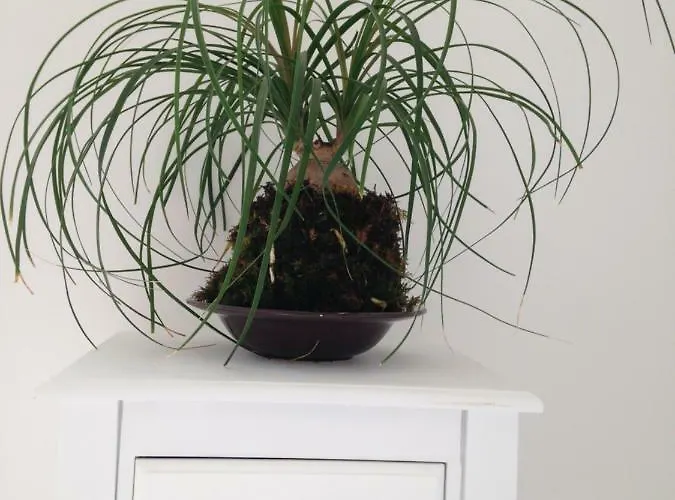 Гостевой дом La Colbert