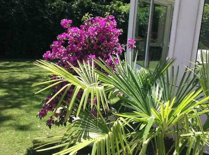 La Colbert Casa de hóspedes